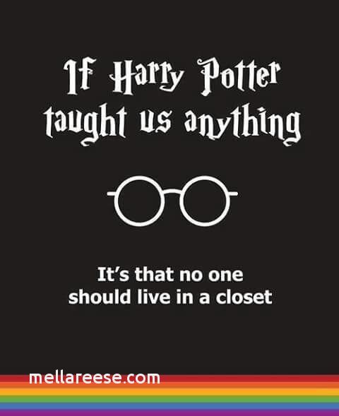 lesbian quotes Best of Harry Potter lesbian humor funny J K Rowling